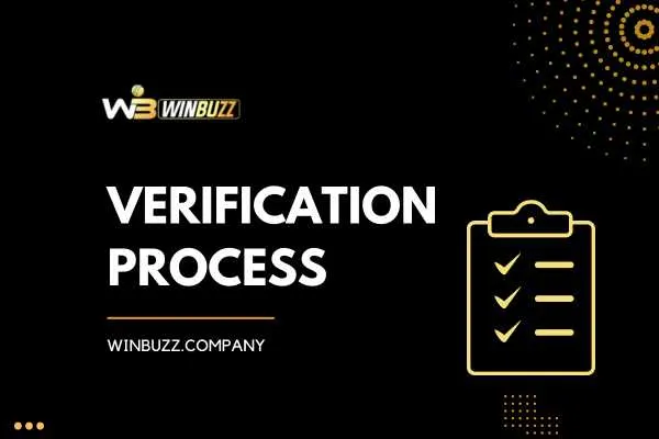 verification process verification process