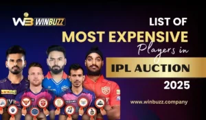 Read more about the article Most Expensive Players in IPL Auction 2025: A Winbuzz Exclusive