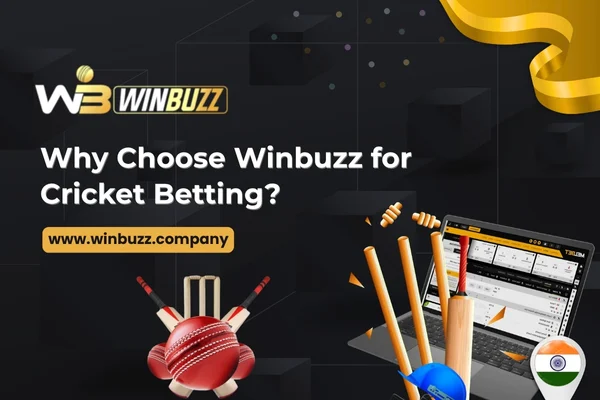 Why Choose Winbuzz for Cricket Betting